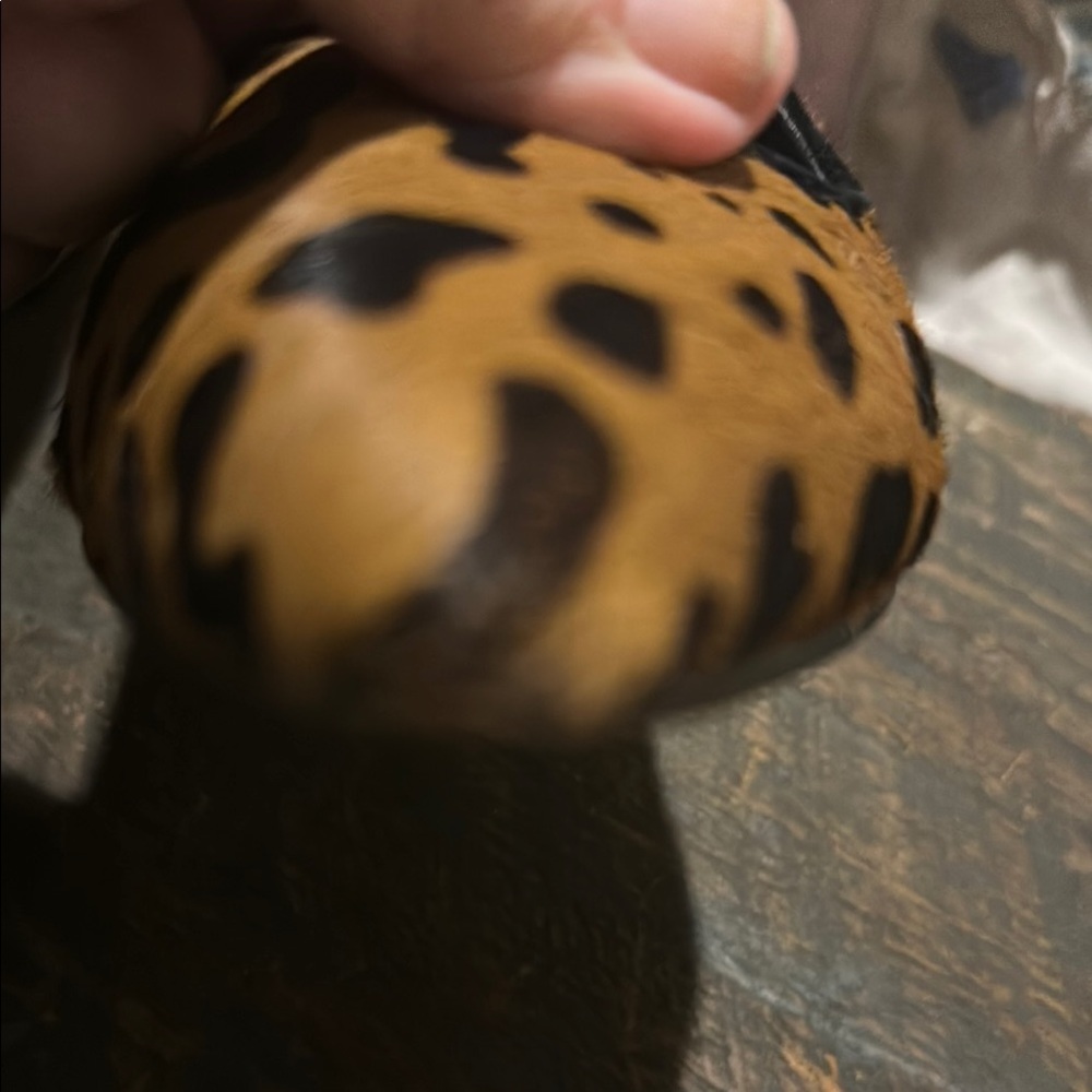 Brian Atwood Leopard Print Pointed-Toe Pumps in Tan and Black - Picture 11 of 12